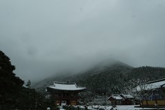 운문사 설경