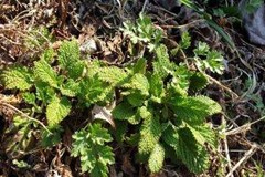 2022년 4월 모니터링