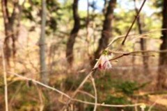 2023년 3월 모니터링