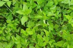 2023년 6월 모니터링