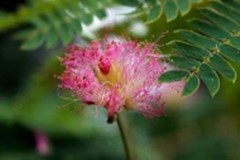 2024년 6월 모니터링