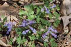 2025년4월 모니터링