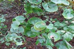 2024년 10월 모니터링