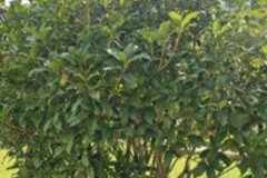 2025년 8월 모니터링