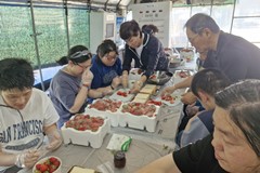 24년 5월 31일 생태관광 딸기농장 체험 청도군장애인복지관 참여자분들