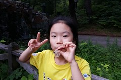 운문산 반딧불이 보러가서