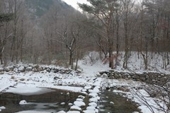 운문산생태경관보전지역의 겨울